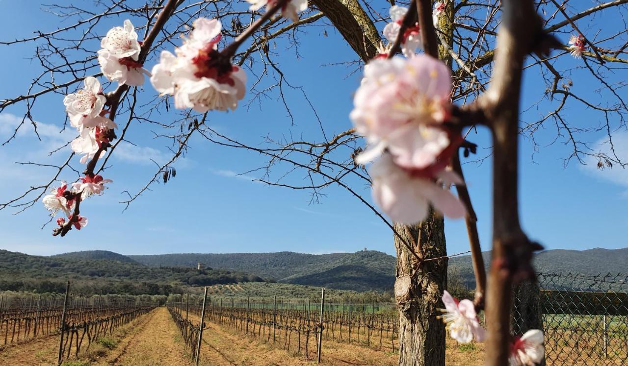 Agriturismo Fusini マリアーノ・イン・トスカーナ エクステリア 写真