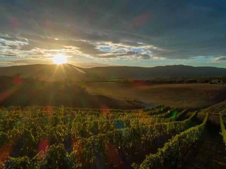 Agriturismo Fusini マリアーノ・イン・トスカーナ エクステリア 写真