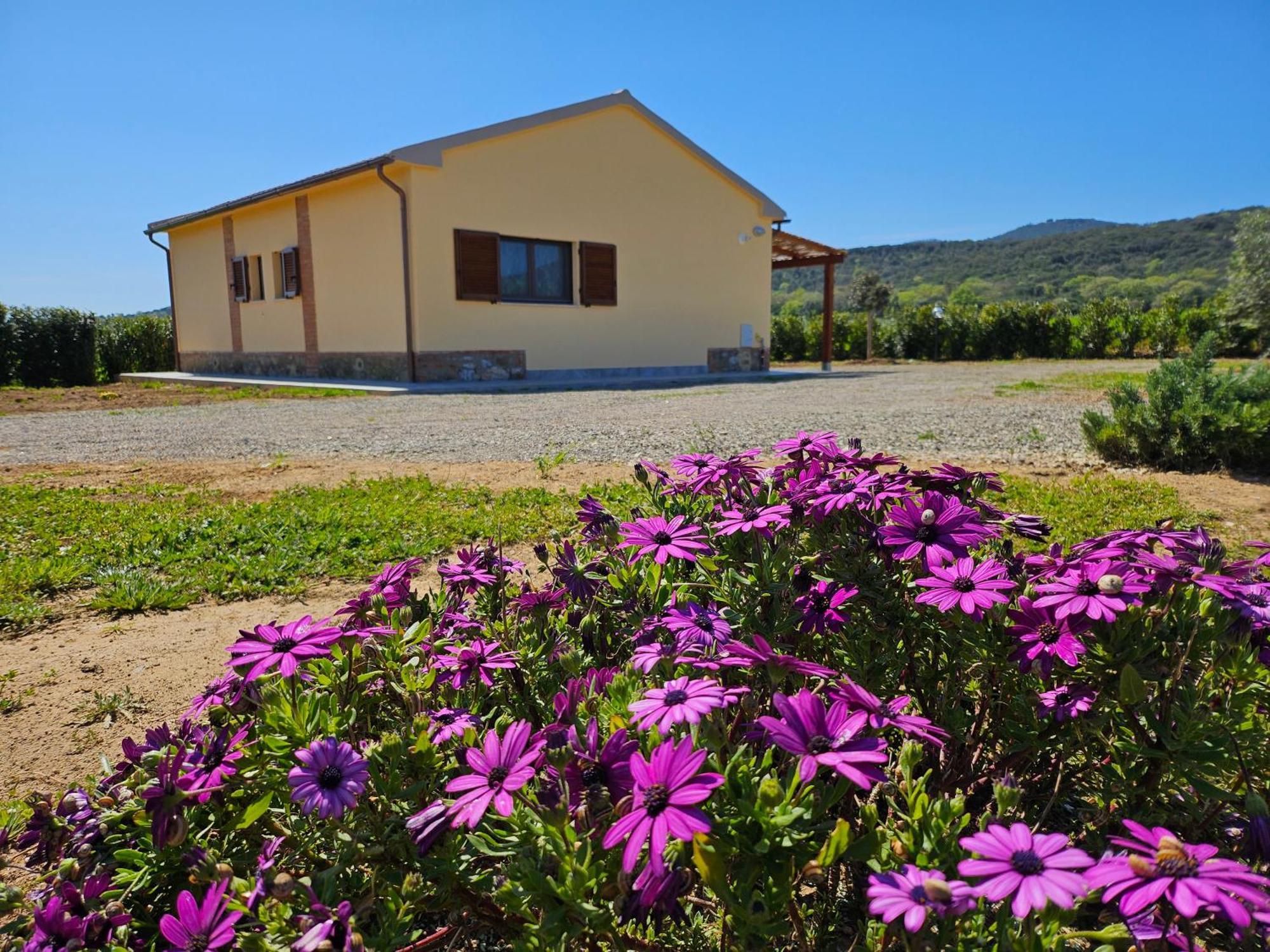 Agriturismo Fusini マリアーノ・イン・トスカーナ エクステリア 写真