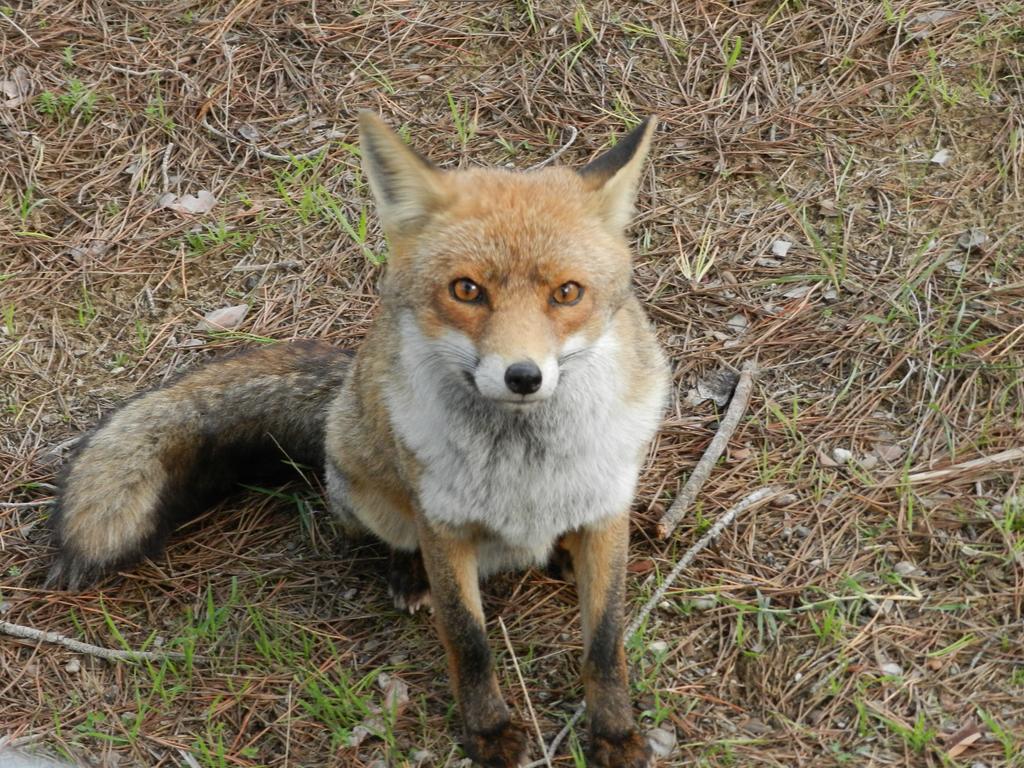 Agriturismo Fusini マリアーノ・イン・トスカーナ エクステリア 写真