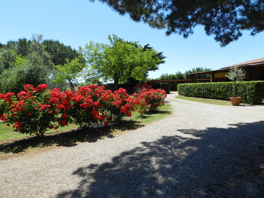 Agriturismo Fusini マリアーノ・イン・トスカーナ エクステリア 写真