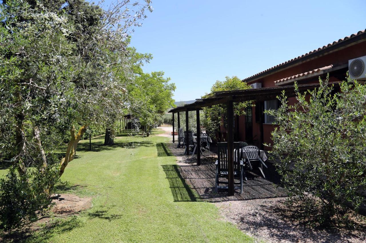 Agriturismo Fusini マリアーノ・イン・トスカーナ エクステリア 写真